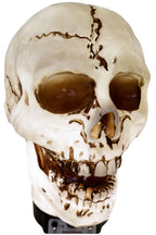 Giant Skull Animatronic Lamp Prop 20-Inch-Tall Heavy Duty Polyresin Halloween Decoration