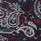 Star Wars Darth Vader Navy Multicolored Paisley Tie