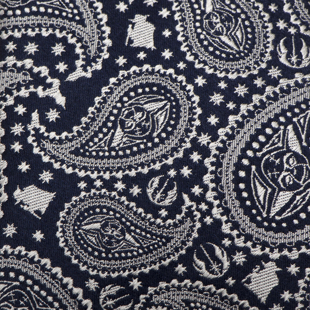 Star Wars Yoda Navy Paisley Tie