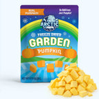 Freeze Dried Pumpkin