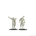 D&D: Nolzur's Marvelous Miniatures - Scarecrow & Stone Cursed - 