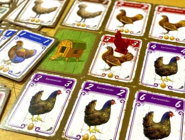 Hens - 