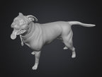 Dogs - Nora - 28mm (SLA001)