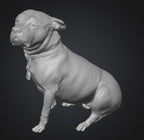Dogs - Nora - 28mm (SLA001)