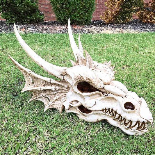 Fossil Statue of Erathia Dragon Elder Skull Fossil Statue for Medieval Dragon Age Fans Game of Thrones Dungeon and Dragon lovers