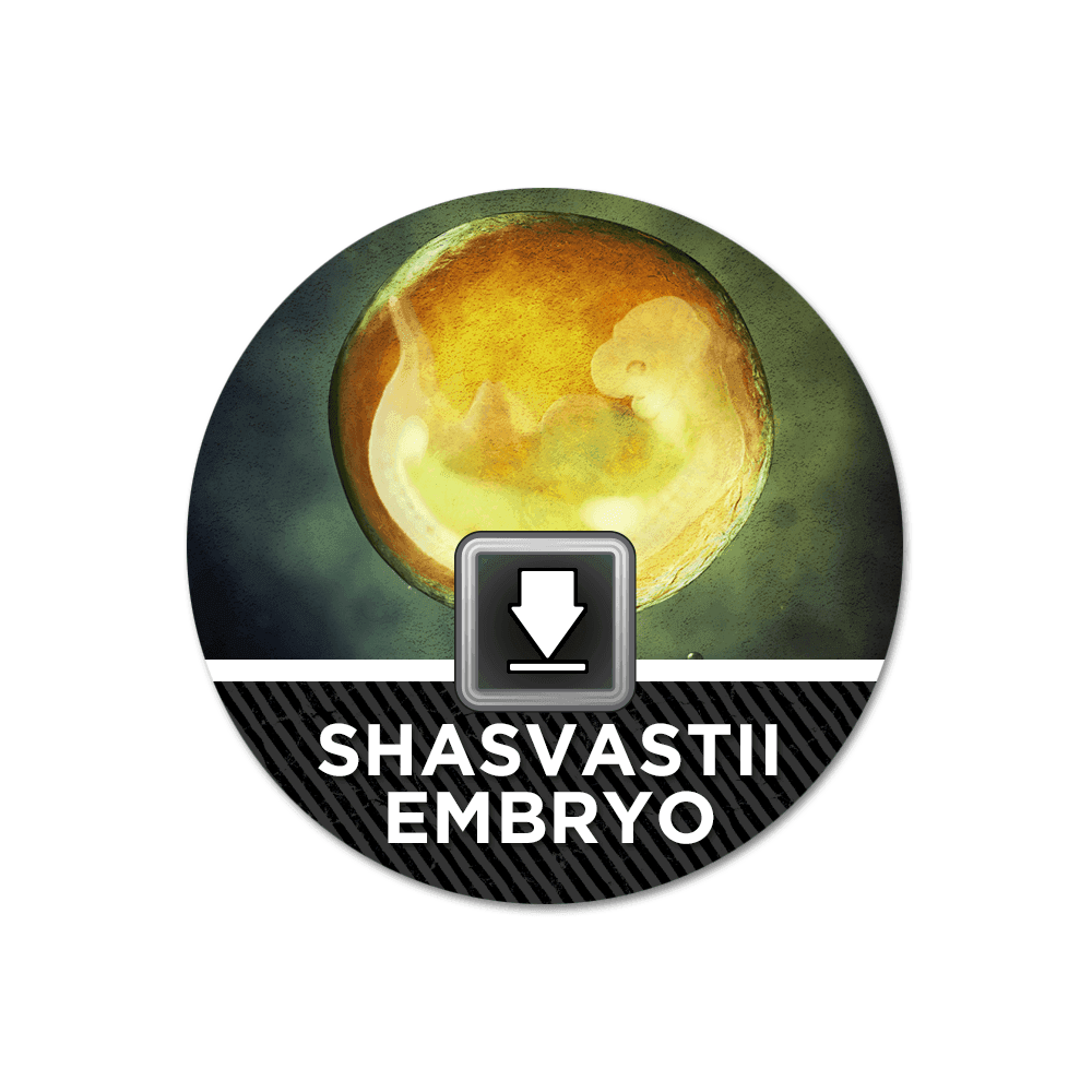INFINITY N4 MAGNETIC MARKERS - Shasvastii Embryo