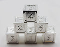 6 piece Metal D6's - Silver - 