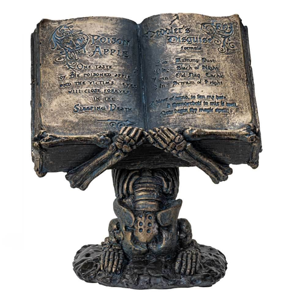 Skeleton holding Spell Book - 