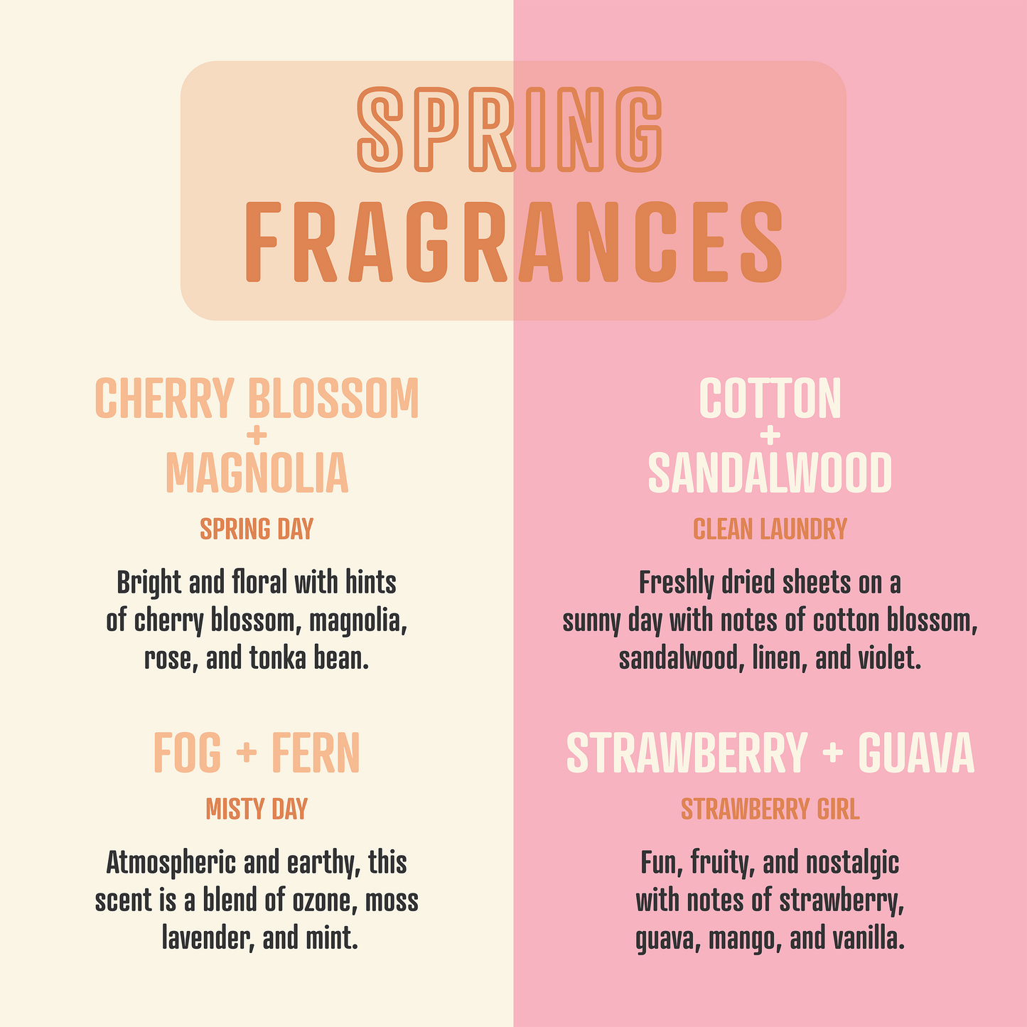 Almost Died At ORTBO | Soy Wax Scented Candle