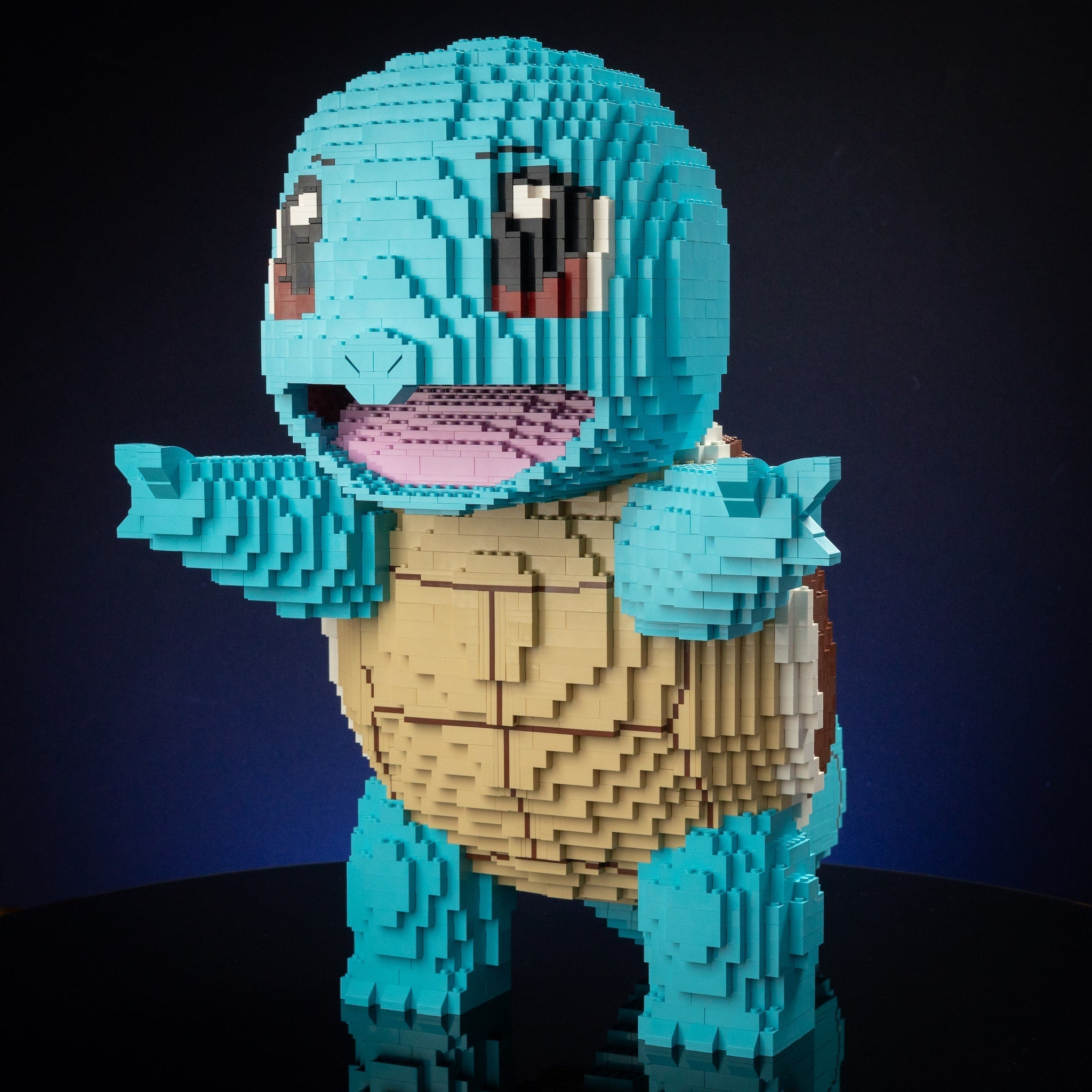 Life-Sized Hydro Turtle