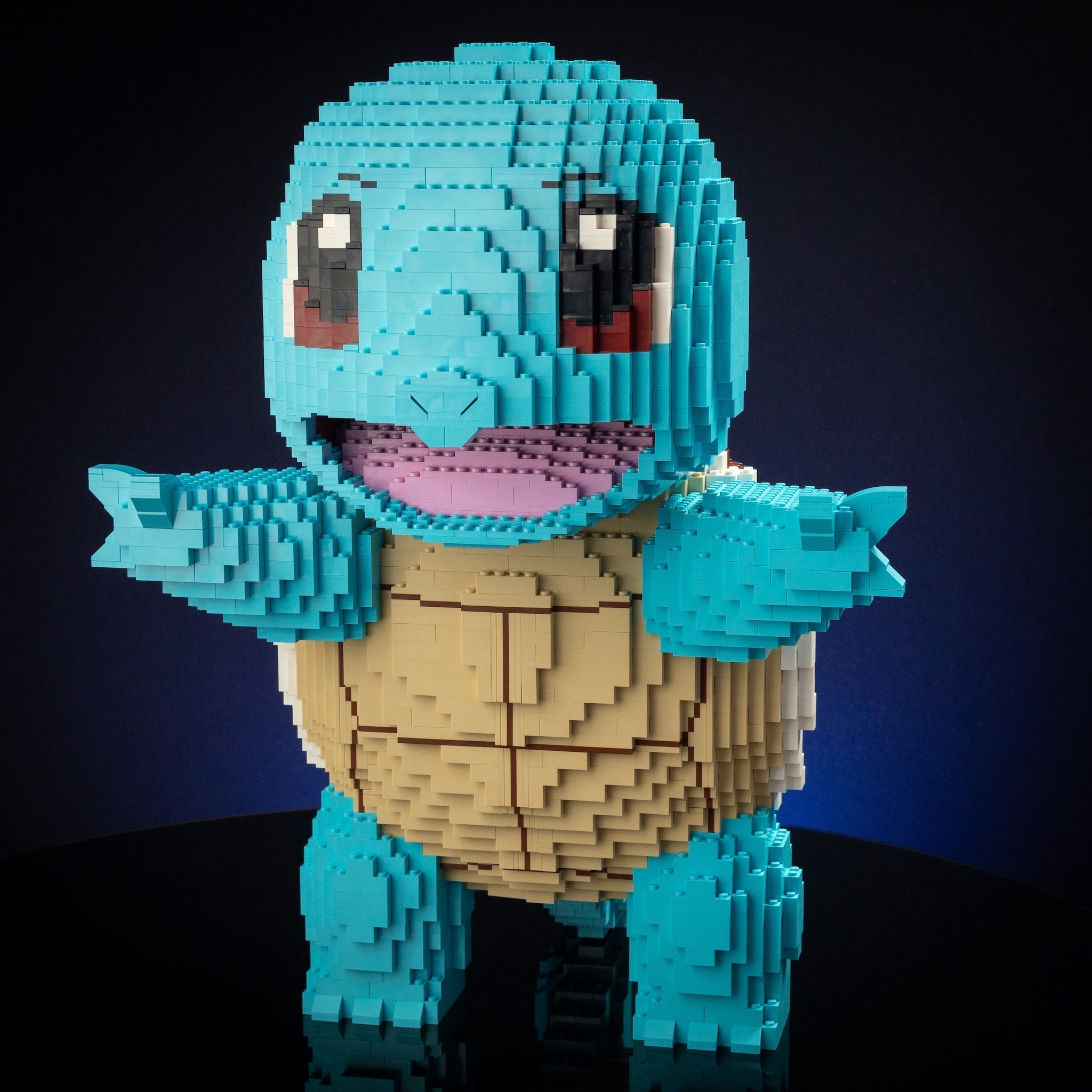Life-Sized Hydro Turtle