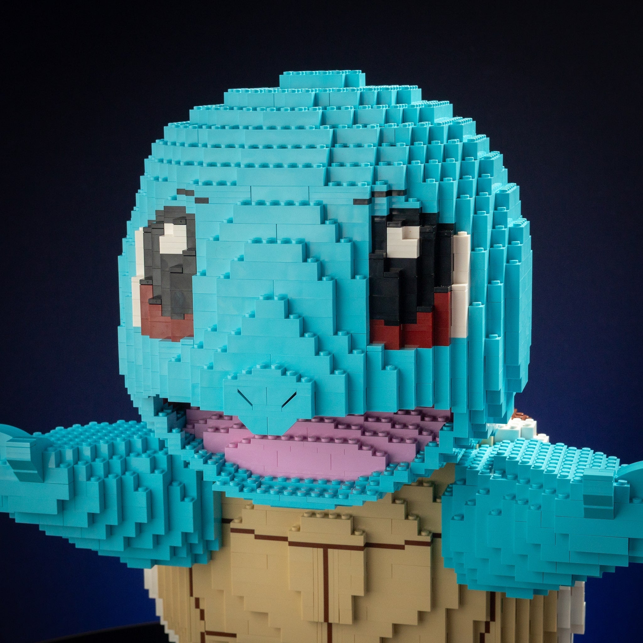 Life-Sized Hydro Turtle