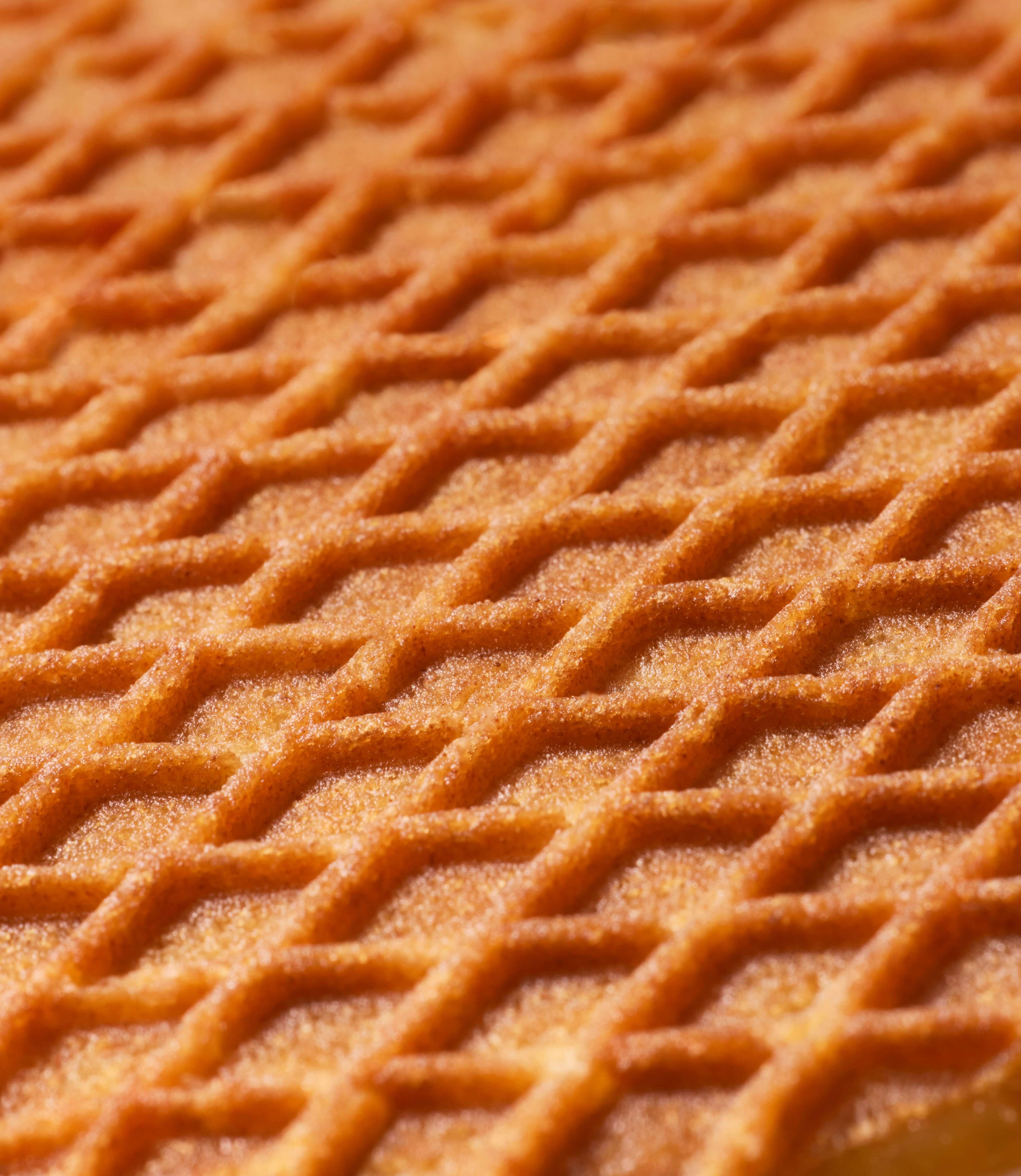 Speculoos Stroopvafels - Box of 12