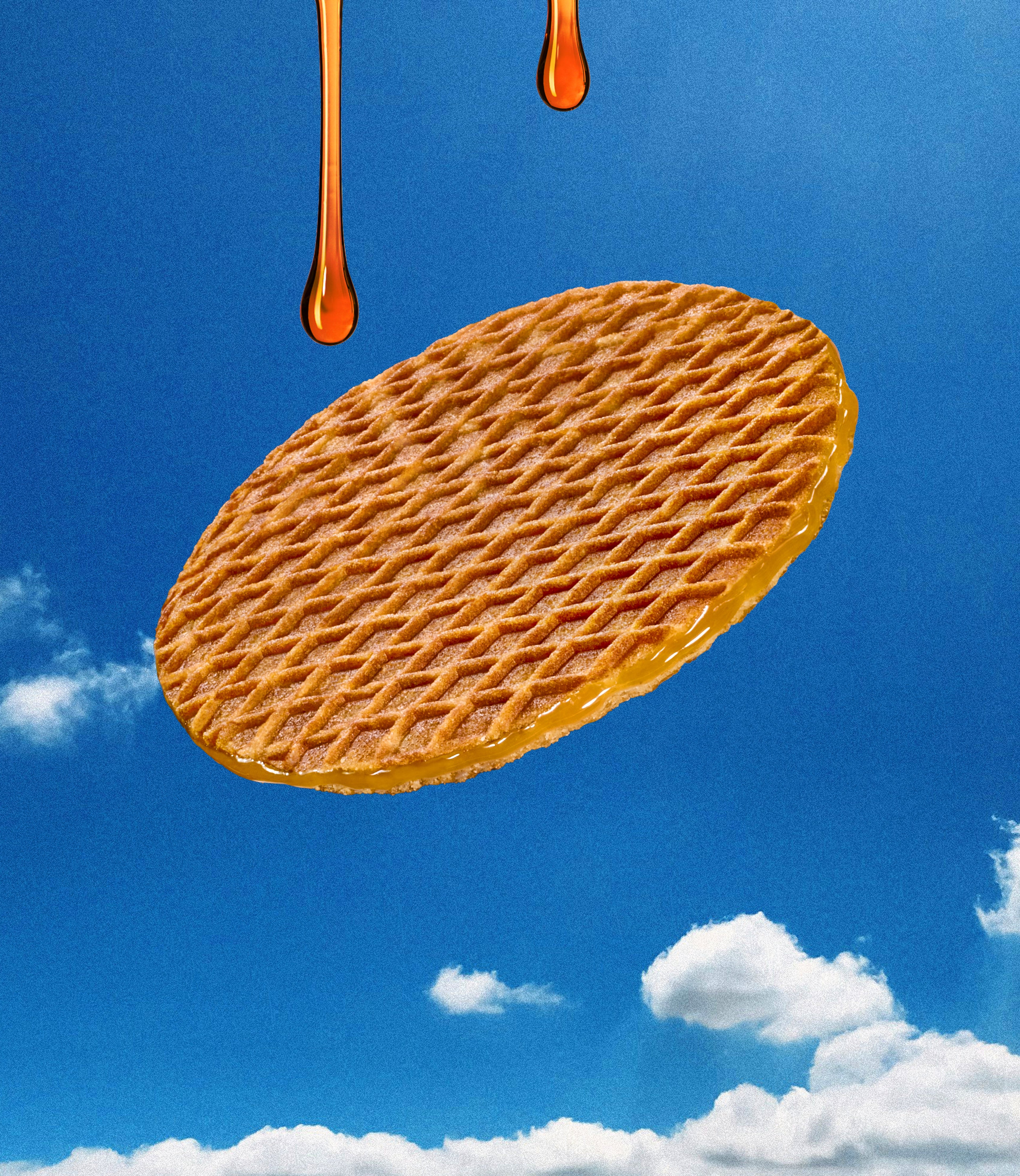 Maple Stroopvafels - Box of 12