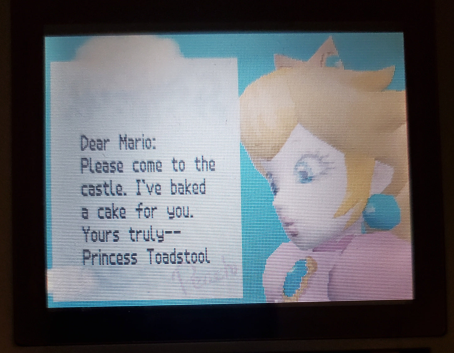 Super Mario DS Nintendo DS Video Game