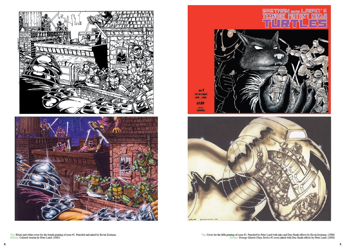 Teenage Mutant Ninja Turtles: The Ultimate Collection, Vol. 7