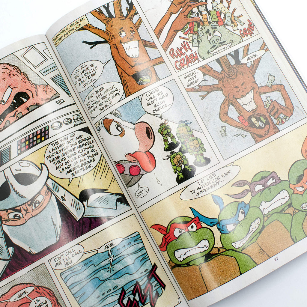Teenage Mutant Ninja Turtles: Turtle Power Pack, Vol. 3