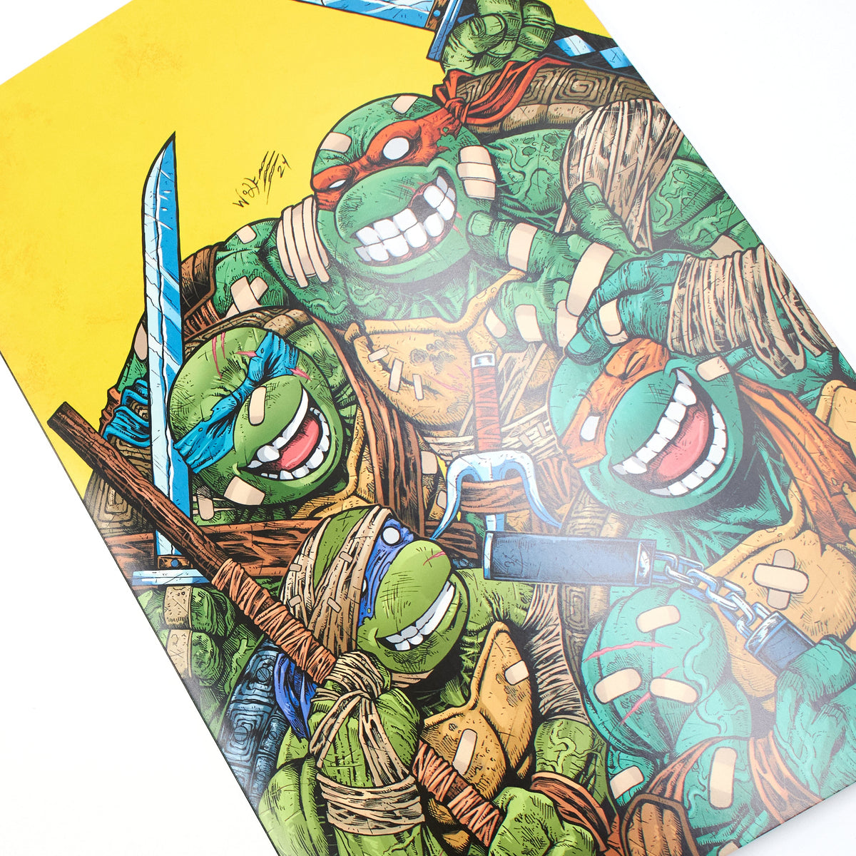 Teenage Mutant Ninja Turtles: Return to New York Poster Book