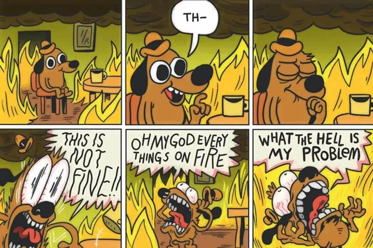 This is Fine Crew Sock Pack | 4 Pairs - 