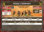 Flames of War: Bagration - Soviet Unit Cards - 