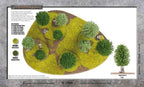 Battlefield in a Box: Small Summer Wood - 