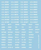 Flames of War: American Decals - 