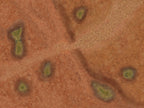 Toxic Cesspool - Neoprene Battle Mat - Warhammer, AoS, 40K, Kill Team, MCP, Shatterpoint, Legion, More - 44x60