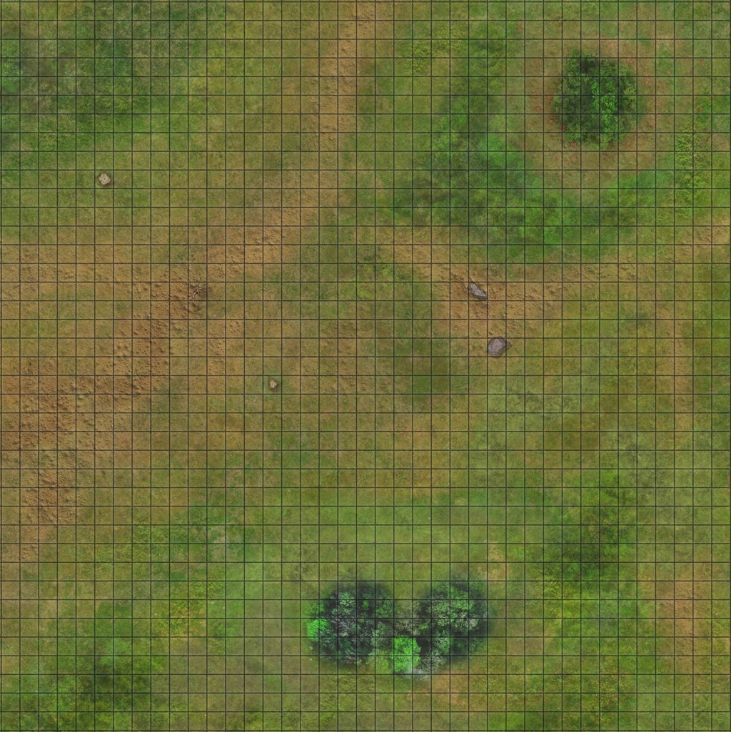 RPG Grid Mat - Snowy Tundra & Traveler's Road - Double Sided Neoprene Mat with Bag