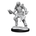 D&D: Nolzur's Marvelous Miniatures - Dragonborn Fighter Female - 
