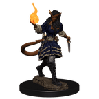 D&D: Nolzur's Marvelous Miniatures - Tiefling Sorcerer Female - 