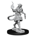 D&D: Nolzur's Marvelous Miniatures - Tiefling Sorcerer Female - 