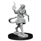 D&D: Nolzur's Marvelous Miniatures - Tiefling Sorcerer Female - 