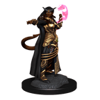 D&D: Nolzur's Marvelous Miniatures - Tiefling Sorcerer Female - 