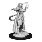D&D: Nolzur's Marvelous Miniatures - Tiefling Sorcerer Female - 