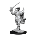 D&D: Nolzur's Marvelous Miniatures - Human Bard Male - 