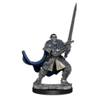 D&D: Nolzur's Marvelous Miniatures - Half-Orc Paladin Male - 