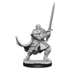D&D: Nolzur's Marvelous Miniatures - Half-Orc Paladin Male - 