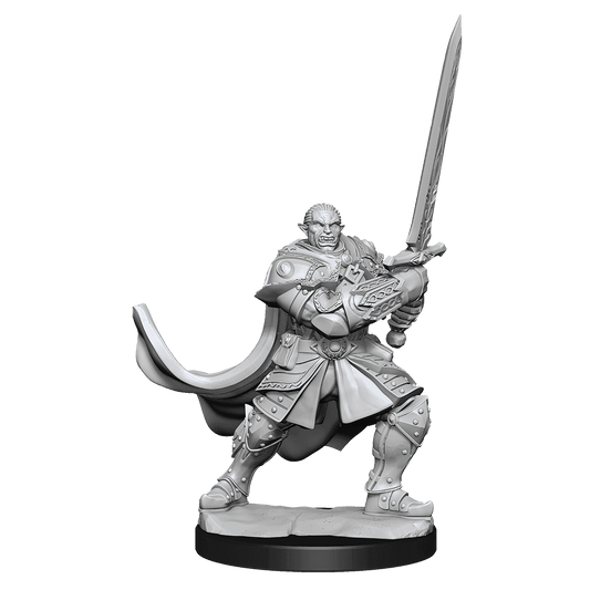 D&D: Nolzur's Marvelous Miniatures - Half-Orc Paladin Male - 