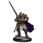 D&D: Nolzur's Marvelous Miniatures - Half-Orc Paladin Male - 