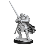 D&D: Nolzur's Marvelous Miniatures - Half-Orc Paladin Male - 