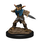 D&D: Nolzur's Marvelous Miniatures - Male Goblin Rogue & Female Goblin Bard - 