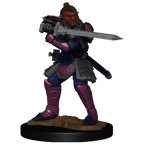 D&D: Nolzur's Marvelous Miniatures - Hobgoblin Fighter Male & Hobgoblin Wizard Female - 