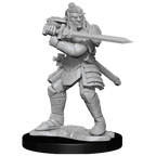 D&D: Nolzur's Marvelous Miniatures - Hobgoblin Fighter Male & Hobgoblin Wizard Female - 