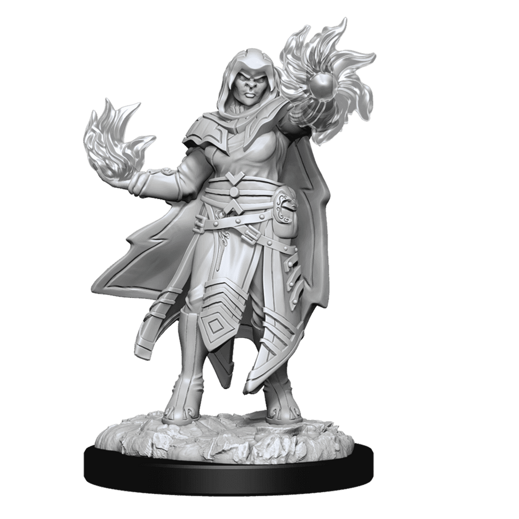 D&D: Nolzur's Marvelous Miniatures - Hobgoblin Fighter Male & Hobgoblin Wizard Female - 