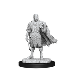 D&D: Nolzur's Marvelous Miniatures - Autumn Eladrin & Summer Eladrin - 