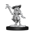 Pathfinder: Deep Cuts - Gnome Bard Female - 