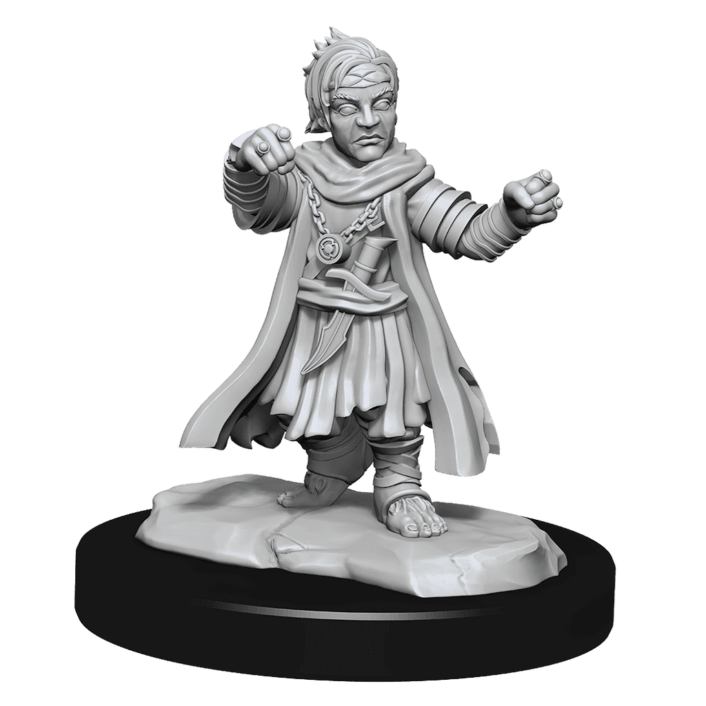 Pathfinder: Deep Cuts - Halfing Monk Male - 
