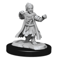 Pathfinder: Deep Cuts - Halfing Monk Male - 