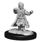 Pathfinder: Deep Cuts - Halfing Monk Male - 