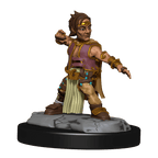 Pathfinder: Deep Cuts - Halfing Monk Male - 